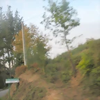DSCN9906