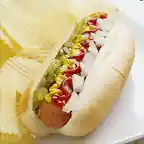 Hot_dog_4d6831c1bea5c