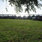 SDC17456