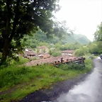 DSCN5779
