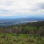 55-IMG_1737