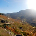 DSCN4649