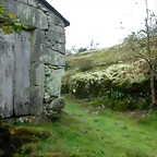 DSCN5746