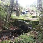 DSCN9036
