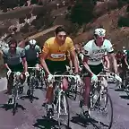 TOUR-MERCKX-PINGEON.-1969