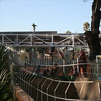 Zoo de Barcelona 01-03-11 382