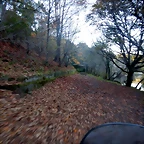 DSCN8977