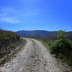 41-IMG_6409