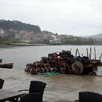 DSCN9865
