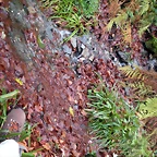 DSCN0774