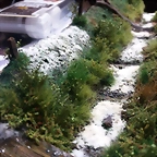 PHOTO 02