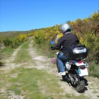 15-IMG_6491