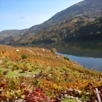 DSCN4637