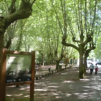 DSCN6114