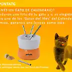 Promo Calendario Fondue