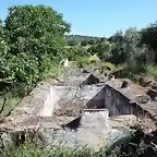 alberca de jarrabotines