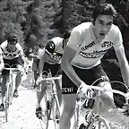 1974,GIRO,PESARRODONA,GIMONDI