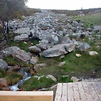 DSCN6077