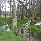 DSCN6075