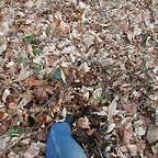 DSCN6122