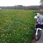 DSCN6076