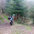 DSCN6115