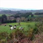 DSCN6083