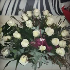 Mar?a IG 16-11-2016 (3)