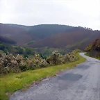 DSCN2878