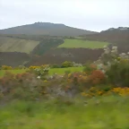 DSCN2888