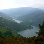 DSCN3037