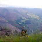 DSCN2938