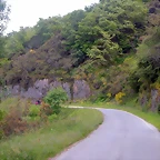 DSCN3011