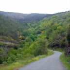 DSCN2962