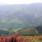 DSCN3054