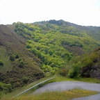 DSCN2955