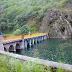 DSCN3006