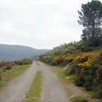 DSCN3039