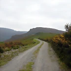 DSCN3040