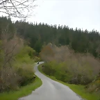DSCN2850