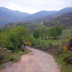 DSCN3060