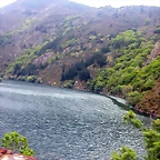 DSCN2999