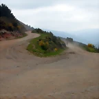 DSCN3059