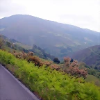 DSCN3066