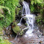 DSCN3071