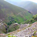 DSCN3088