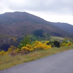 DSCN3018