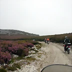 DSCN3051
