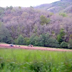 DSCN2874