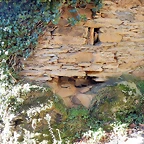 DSCN9072